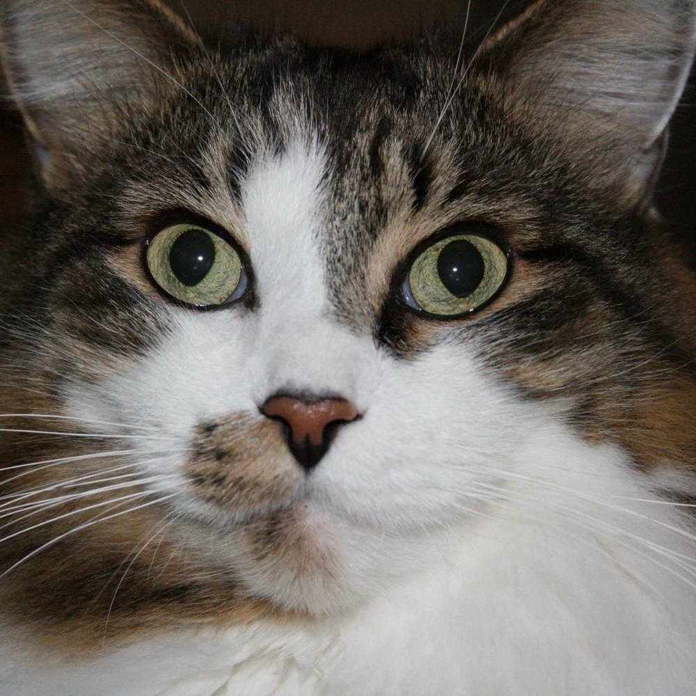 Meet your Posher, Jeanne